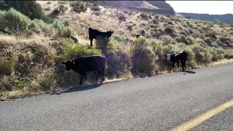 Idaho Rancher Talks 21st Century Practices 05.03.2023