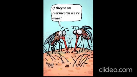 DIRT ROAD DISCUSSIONS IVERMECTIN LIVE CHATS TESTIMONIALS LYME DISEASE PARASITES 06-22-22
