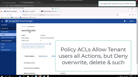 How versioning and WORM-like ACLs work on NetApp StorageGRID