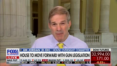 Rep Jim Jordan: ‘This Is a Direct Effort to Destroy the 2nd Amendment’ by Democrats