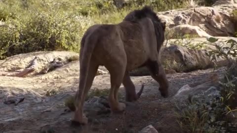 जंगल बुक मूवी का बेस्ट सिन पार्ट 7 #simba #lionking #junglebook #hollywood #superhit