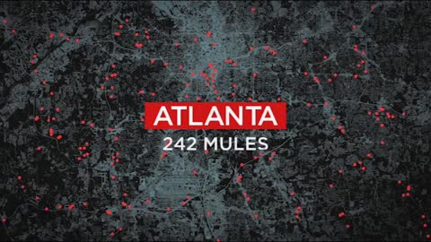 242 Mules in Atlanta