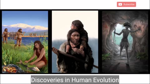 Discoveries in Human Evolution.