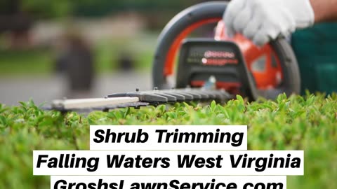 Shrub Trimming Falling Waters West Virginia Landscape Company