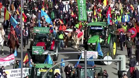 Thousands of Spanish farmers march to demand action
