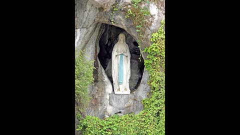 Fr Hewko, Our Lady of Lourdes, 2/11/22 [Audio] (Tannersville, PA)