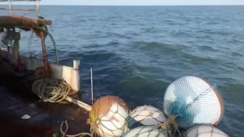 Deep Sea Pomfret Fishing