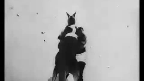 Boxing Kangaroo (1895 Film) -- Directed By Max Skladanowsky -- Full Movie