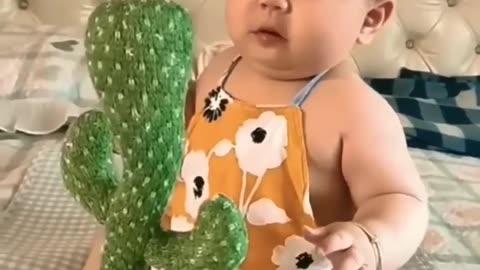 Funny cactus - Little boy scared 😳