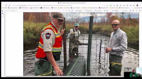 Protecting Road Culverts from Beaver Dams (Castor canadensis)