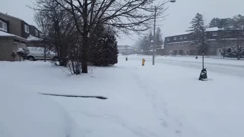 Winter weather. Snow fall - Scarborough, Ontario, Canada 1
