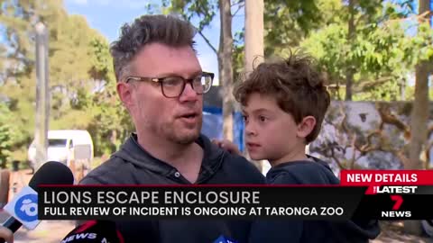 Taronga Zoo reveals how five lions escaped their