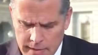 Hunter Biden spoof