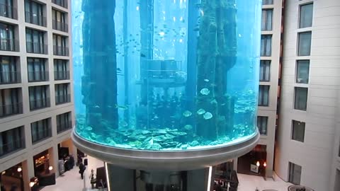 Aqua Dom, the really big aquarium (with a lift inside!) in the middle of hotel, Berlin, Germany