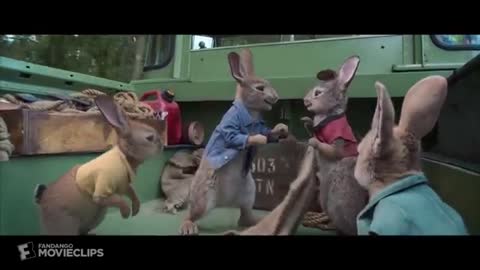 Peter Rabbit (2018) - Wet Willy Rescue (4-10) - Movieclips_Cut