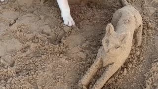 Dog Makes Friends With Mr.Sandcat