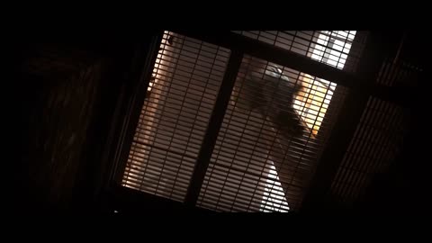 Laura vs Reavers - Fight Scene - Logan (2017) Movie Clip HD 4K
