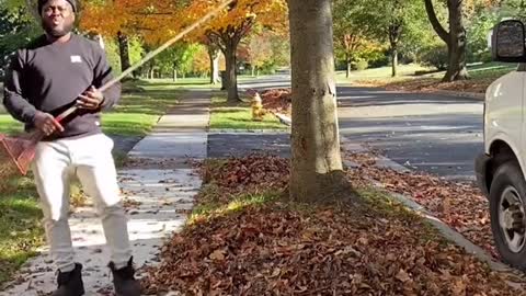 guy raking leaves , very funny