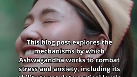Ashwagandha for Stress Relief How It Works and Its Effectiveness
