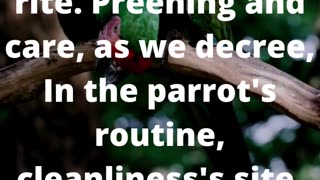 Feathers and Fables: Creative Explorations of Our Chatty Friends #poem #poetry #shorts #art👍👄🔔🛫✒️