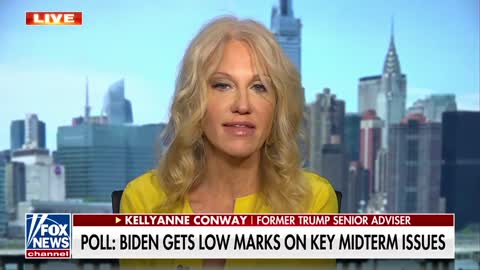 Kellyanne Conway: Biden is playing an inside game