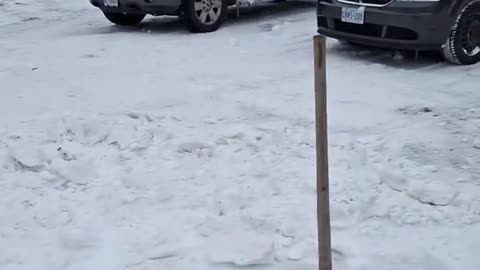 Styrofoam Snow Catches Fire but Doesn't Melt