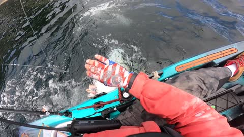 Massive Halibut Caught by Kayak Angler in Alaska