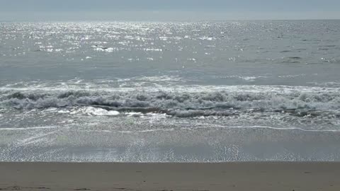 Monterey Bay Waves