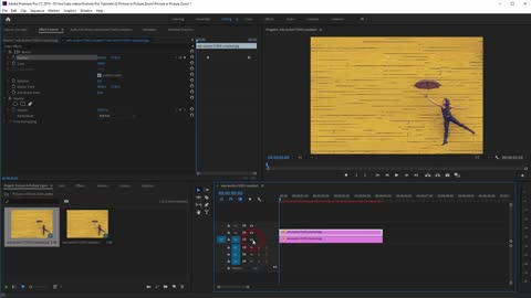 Create a Picture in Picture Zoom in Premiere Pro