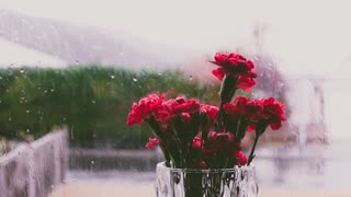 SOOTHING RAIN SOUNDS FOR RELAXATION AND SLEEP