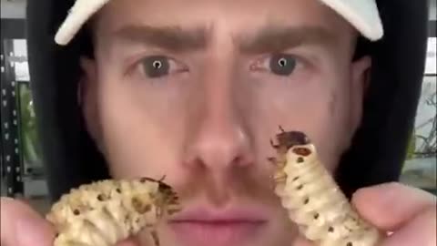 This man awesome he loves insects ,
