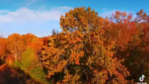 Autumn 🍂 colours beautiful fall season
