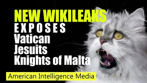 New Wikileaks Exposes Vatican, Knights of Malta, Jesuits