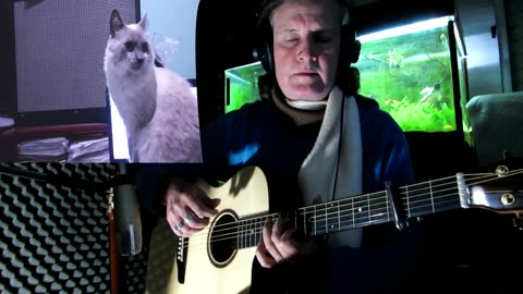 Relax Simba 3 (Music and my cat)