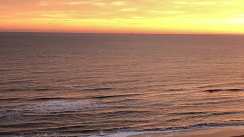 Dolphins' Sunrise Swim