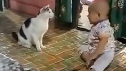 A SMART CAT IS WATCHING A BABY