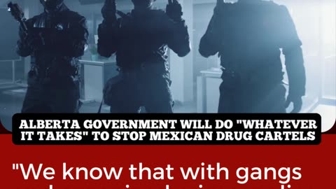Alberta government will do "whatever it takes" to stop Mexican drug cartels