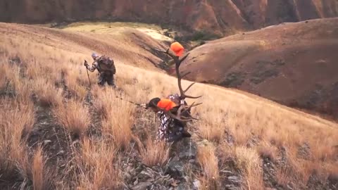 Epic Elk Hunting Adventures [HIGHLIGHT REEL]