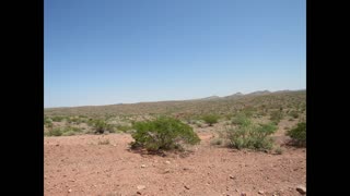 New Mexico desert