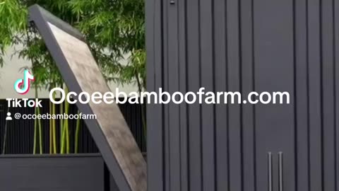 Create beautiful, outdoor spaces using Graceful Bamboo 407-777-4807 ocoee Bamboo Farm