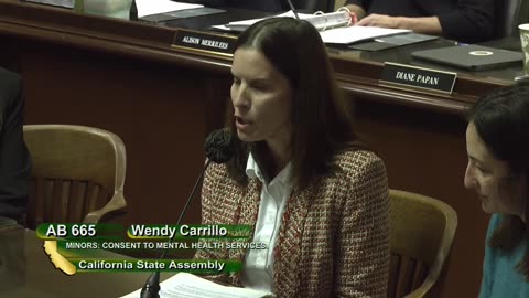 Erin Friday testifies against California’s AB 665 calls it a “state-sanctioned kidnapping” bill