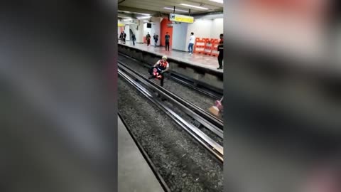 Chicken Playing Chicken With Underground Brings Metro System Grinding To A Halt