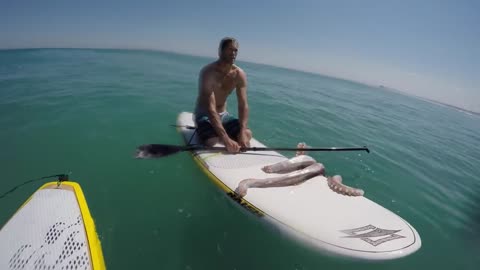 Amazing squid attack surfboard