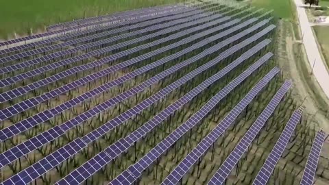 German hops farmer looks to solar for added income
