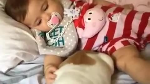 Cute puppy is enjoying playing with baby