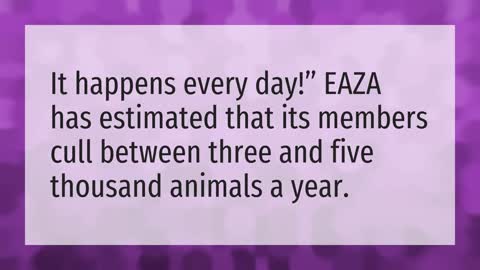 How many animals die in zoos each year in America?