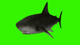 Shark green screen effect