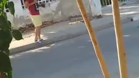 Video: ¡Insólito! Halcones atacan a vecinos del Barrio España