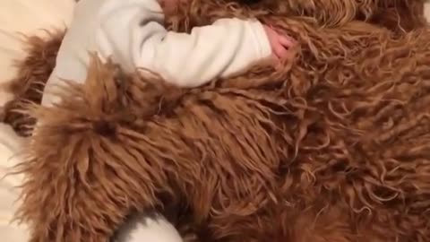 A cute baby with a dog