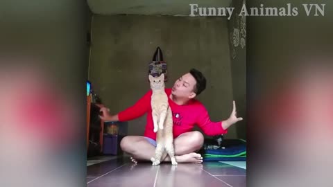 best funny animal videos 2023 funniest cats and dogs videos